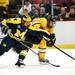 Michigan senior defenseman Lee Moffie battles Michigan Tech junior left wingman Ryan Furne for the puck in the first period at Joe Louis Arena on Saturday, Dec. 29. Michigan Tech leads going into the third 2-0. Daniel Brenner I AnnArbor.com